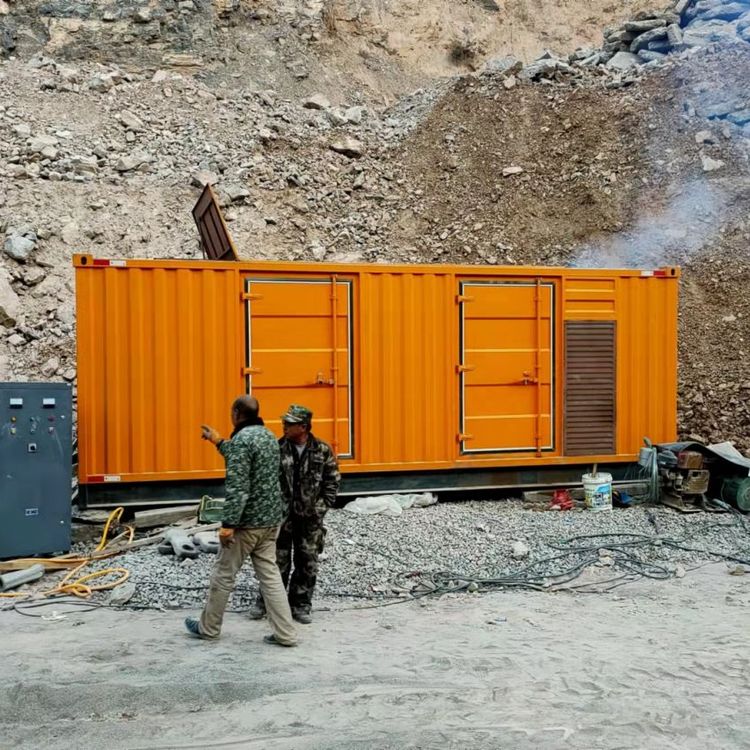 枫木镇如何选择适合自己的 800KW 柴油发电机组？